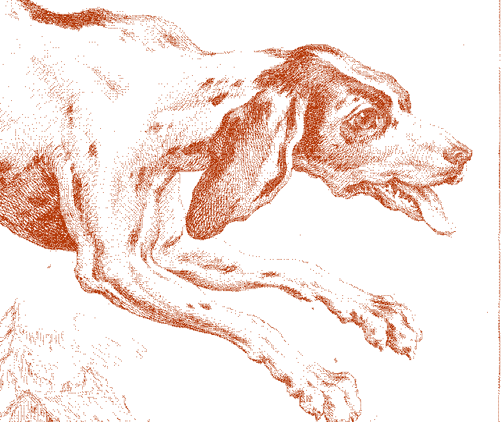 The head and forelegs of a hound at full stretch, cropped from Oudry's Chien courant.