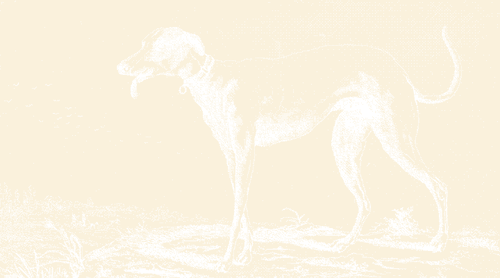 A lean collared greyhound stands in full profile on a grassy plain, tongue out; tiny riders and birds on the horizon. Etching.